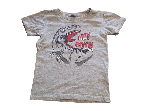 T-Shirt grau Dino Gr. 128